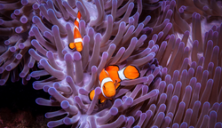Reef Safe Sunscreen – The 2023 Guide