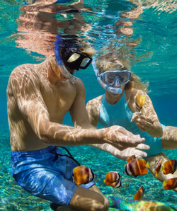 Couple in the water with fish.