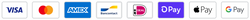 Payment icons including, Visa, Mastercard, American Express, Bancontact, iDeal, Shop Pay, Apple Pay, Google Pay.